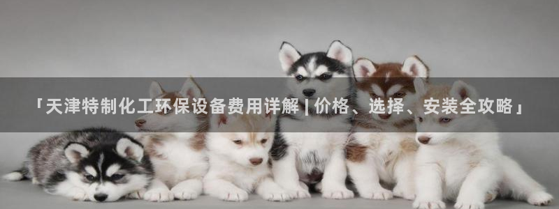亿万先生官方网站下载：「天津特制化工环保设备费用详解 | 价格、选择、安装全攻略」