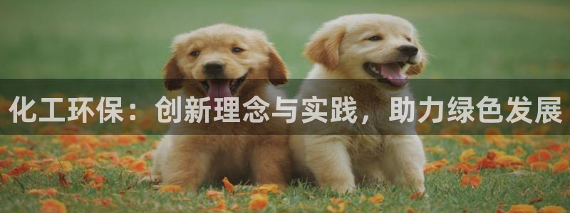 亿万app下载：化工环保：创新理念与实践，助力绿色发展