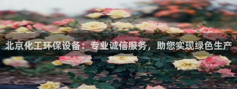 亿万先生网站：北京化工环保设备：专业诚信服务，助您实现绿色生产
