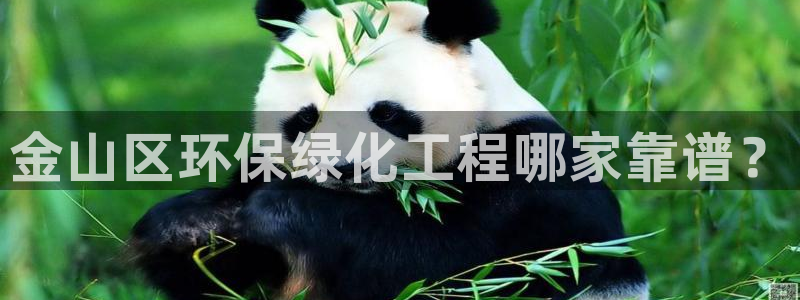 亿万官网字幕