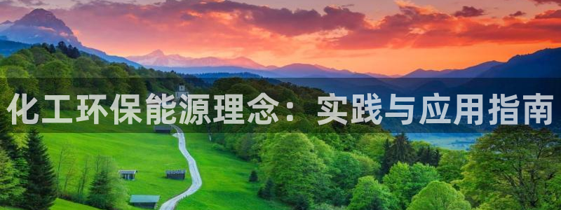 亿万先生现在的网址谁知道是真的：化工环保能源理念：实践与应用指南