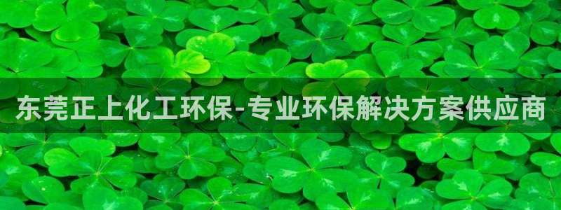 亿万先生游戏：东莞正上化工环保-专业环保解决方案供应商