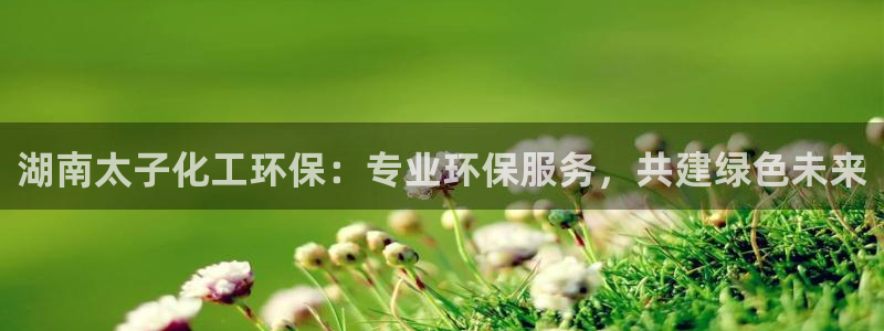 亿万先生是男是女：湖南太子化工环保：专业环保服务，共建绿色未来