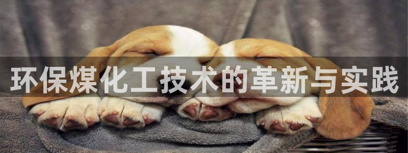 亿万先生 菲律宾：环保煤化工技术的革新与实践