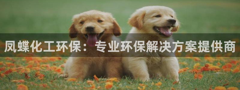 亿万第一季解说：凤蝶化工环保：专业环保解决方案提供商