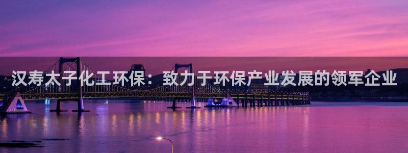 亿万先生手机版入口在哪下载：汉寿太子化工环保：致力于环保产业发展的领军企业
