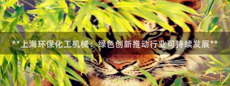 亿万先生首页：**上海环保化工机械：绿色创新推动行业可持续发展**