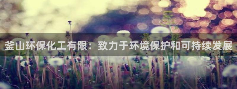 亿万小说免费阅读全文：釜山环保化工有限：致力于环境保护和可持续发展