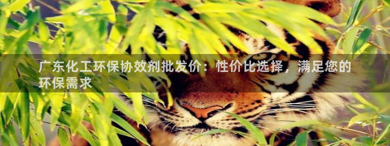 亿万先生是男是女：广东化工环保协效剂批发价：性价比选择，满足您的
环保需求