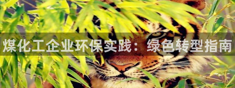 亿万问答