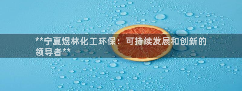 亿万先生合并网址是什么：**宁夏煜林化工环保：可持续发展和创新的
领导者**