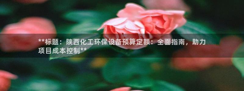 亿万先生游戏平台网址：**标题：陕西化工环保设备预算定额：全面指南，助力
项目成本控制**