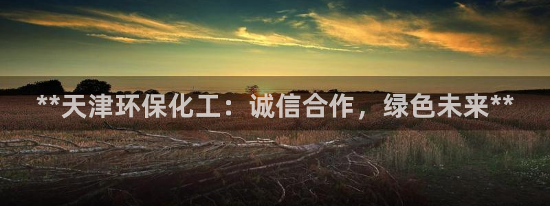 亿万先生换网址了吗：**天津环保化工：诚信合作，绿色未来**