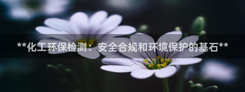 亿万先生app：**化工环保检测：安全合规和环境保护的基石**