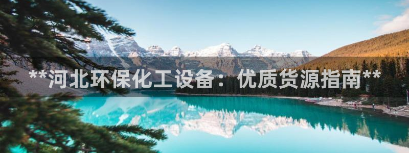 亿万剧集：**河北环保化工设备：优质货源指南**