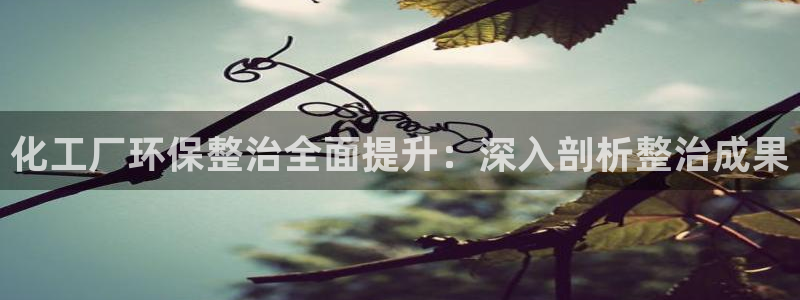 亿万先生官方网站下载手机版：化工厂环保整治全面提升：深入剖析整治成果