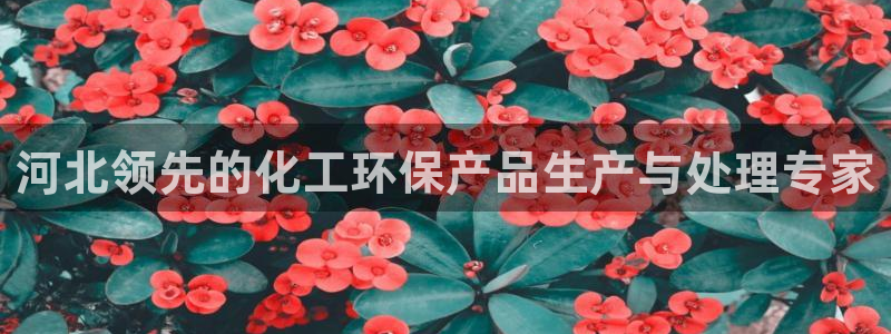 亿万先生合并网址是多少